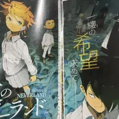 非売品】約束のネバーランド 複製サイン色紙 当選品 白井カイウ 出水ぽ