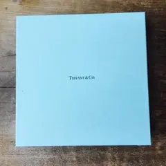 お値下げティファニー箱のみ・大