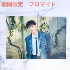 スンミン★StrayKids スキズ Hollow 期間限定生産盤 ブロマイド