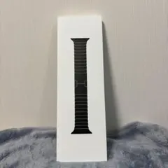 Apple Watch Band （42mmケース用スレートリンクブレスレット）