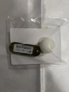 ハイキュー トレーディング高校名付き鍵チャームキーホルダー 梟谷学園高校