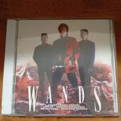 WANDS 8㎝ CD 2枚 - メルカリ