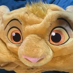 Item thumbnail for item ccb8a854-d172-4278-a140-ae27895546fb