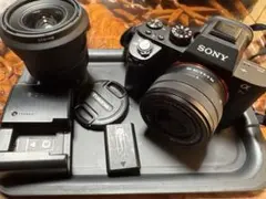 2026年最新】ソニーα7RIIボディILCE_7RM2の人気アイテム - メルカリ