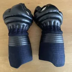 Item thumbnail for item a73dfdf6-bfb6-4dc6-801e-6deebe606230