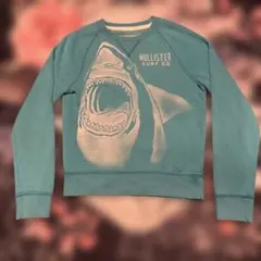 HOLLISTER SURF CO shark print sweatshirt