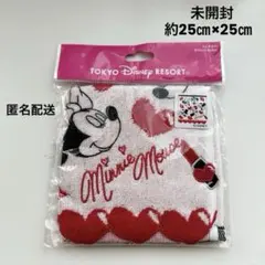 東京ディズニーリゾート ミニータオル 約25cm x 約25cm
