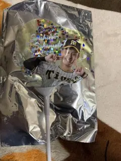 うっちー様 リクエスト 2点 まとめ商品