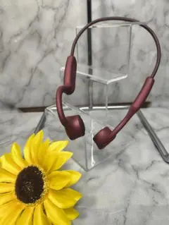 Item thumbnail for item dc26df7d-e60c-458d-bea1-89b6bef90532