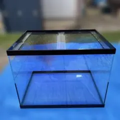 アクリル水槽550×550×400 板厚5mm 両側面と底背面4面ブルー 蓋付き 特価！アクリル水槽550×550×400 板厚5mm 両側底背面4面ブルー 蓋付
