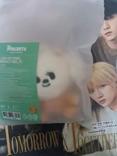 TOMORROW X TOGETHER - TXT ボムギュ　ぬいぐるみ 2178540724.jpg?1707967452