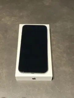 iPhone15ProMax 本体 256GB SIMフリー
