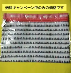 LeSportsac　ポーチ　未使用
