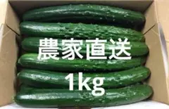 きゅうり　1kgのサムネイル