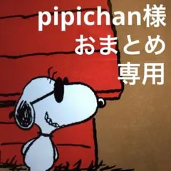 pipichan様 リクエスト 2点 まとめ商品