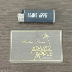 Item thumbnail for item a016120a-ce72-4389-af33-76aeec8cede4