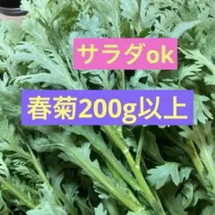 春菊200g以上　箱込み250g以上ネコポスいっぱいのサムネイル
