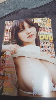 ヤングマガジン 青年漫画