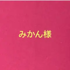 みかん様専用ページ