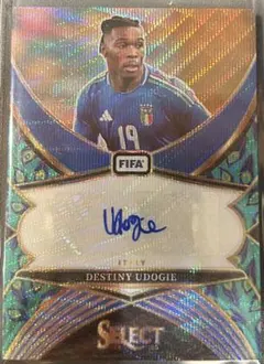 ジェームズ マディソン サイン 額縁付き トッテナム23/24 ジェームズ マディソン サイン 額縁付き トッテナム23/24