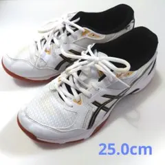 ASICS GEL ROCKET 10 バレーボールシューズ 25.0cmのサムネイル
