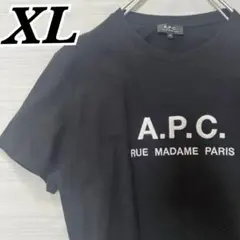 A.P.C アーペーセー センター 刺繍 ロゴ Tシャツのサムネイル