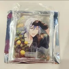 アイナナ アニカフェ 記念日 コロッタ 環