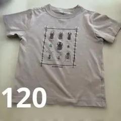 mont-bell モンベル 昆虫Tシャツ ベージュ　120サイズのサムネイル