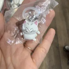 ドラゴンボール　めじるしアクセサリー4　カリン
