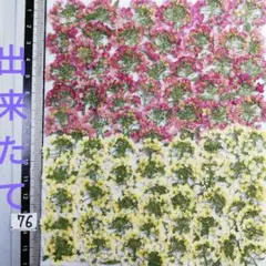 fuuu***様 リクエスト 2点 まとめ商品