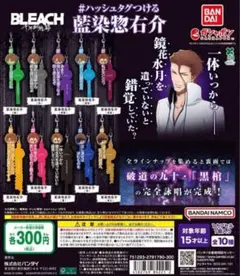 【値下げ不可】BLEACH カラ鉄 藍染惣右介 値下げ不可】BLEACH カラ鉄 藍染惣右介 BLEACH カラオケの鉄人