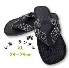 Item thumbnail for item ea016ae8-1301-4838-9577-bab865b09c20