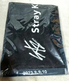 StrayKids スキズ　マフラータオル　大阪　5-STAR DomeTour