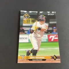 Item thumbnail for item 690c717f-2d17-4d16-a14f-b72758b4ee86