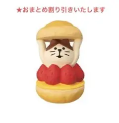 コンコンブル　シューからこんにちは猫