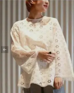 CLANE FLORETS LACE CURVE TOPS ブラウス 美品 - メルカリ