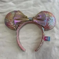 ディズニーランド40周年ドリームゴーラウンド　カチューシャ/FSホテルエコバッグ