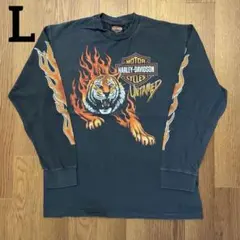 00s ハーレー 袖フレイム ロンT L相当 黒 スカル ハーレーT ☆8709