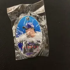 中日ドラゴンズ 柳裕也 PVCクリアチャーム