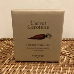 SKINFOOD Carrot 空容器