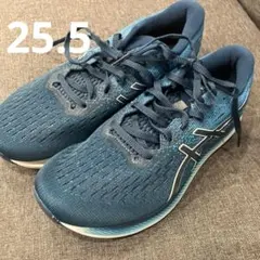 ASICS EvoRide 2 25.5cm