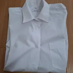 Item thumbnail for item 6753f590-44a9-4840-8d30-eb7d6d80c33c