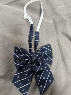 Item thumbnail for item 1ed1ecde-8769-4a76-b34f-30b98f723a60