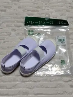 Item thumbnail for item c9c7af40-cc1e-4cb9-aa32-d4a6af682fd7