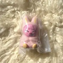 straykids skzoo ライトマスコット トェッキ