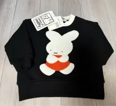 Item thumbnail for item 53ebafa1-da0c-40fc-89d9-012bf77726d2