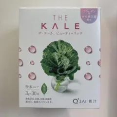 Item thumbnail for item b6f5f315-0dab-47a1-af31-27b662b84d6b