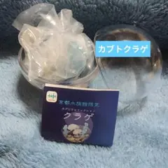 京都水族館限定カプリウムコレクション　カブトクラゲ