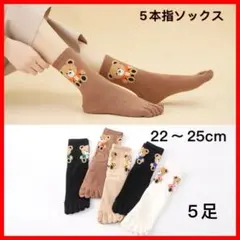 くま柄 5本指ソックス 5足セット レディース まとめ売り可愛い靴下 綿 通気性