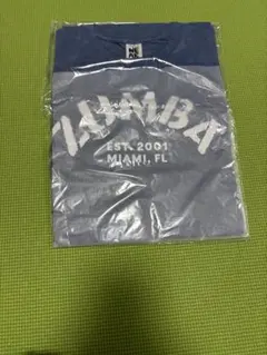 ZUMBA ロゴ Tシャツ ネイビー/グレー